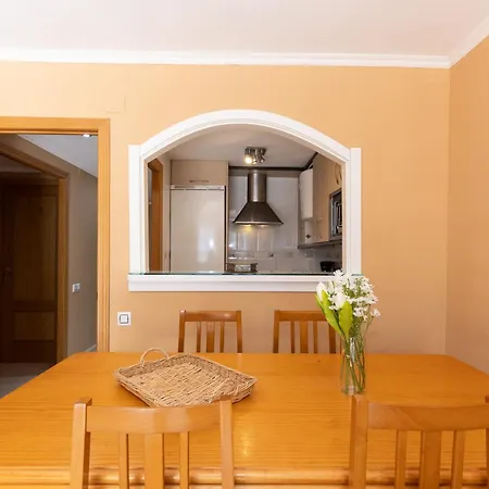 Apartment Carlos V *